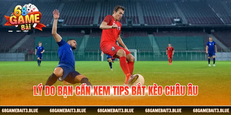 Lý do bạn cần xem tips bắt kèo châu Âu
